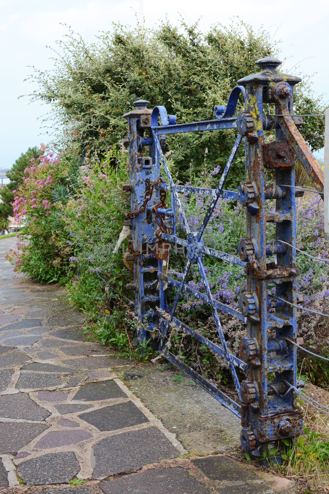 Weathered, locked blue gate covered with peeling blue paint by sarahdoow