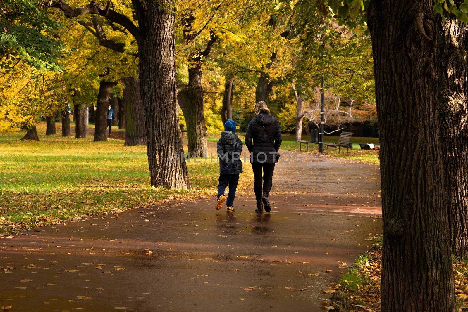 Mother and son are walking and talking on Letna Park in Autumn 2020 on Prague 6, during quarantine period due to outbreak of COVID-19 as winter is starting, Czech Republic by gonzalobell
