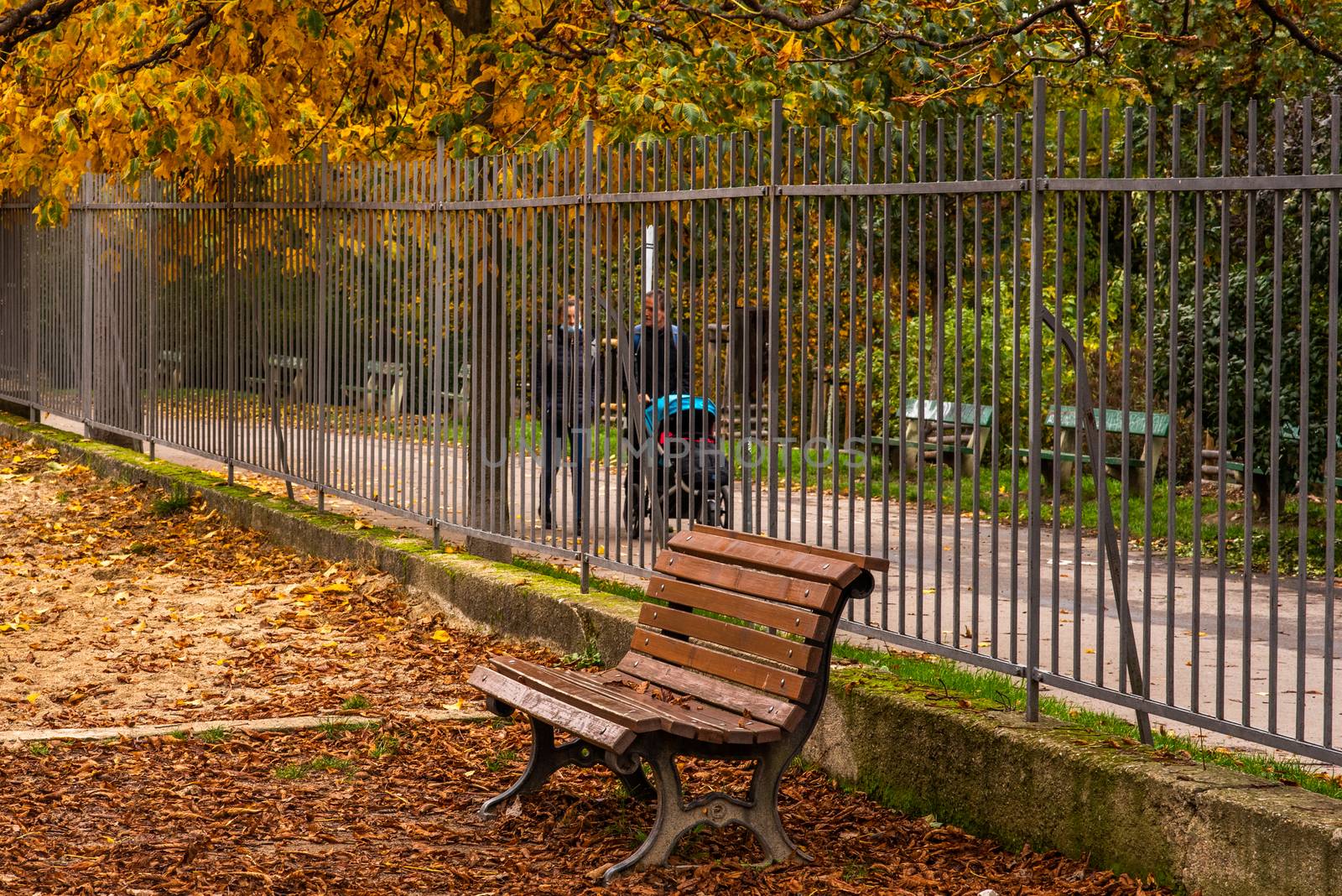 11/02/2020. Prague, Czech Republic. A family is walking and talking while carrying a baby stroll on Stromovka Park in Autumn 2020 on Prague 6, during quarantine period due to outbreak of COVID-19 as winter is starting, Czech Republic by gonzalobell