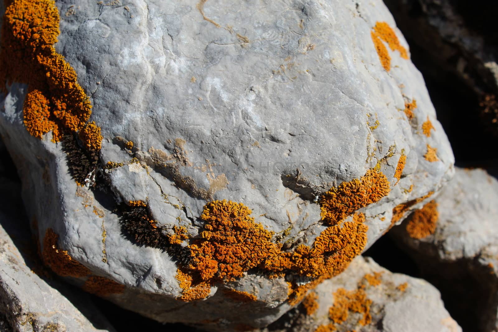 Orange spots (lichens) on a rock in the mountains. Mountain Bjelasnica, Bosnia and Herzegovina.