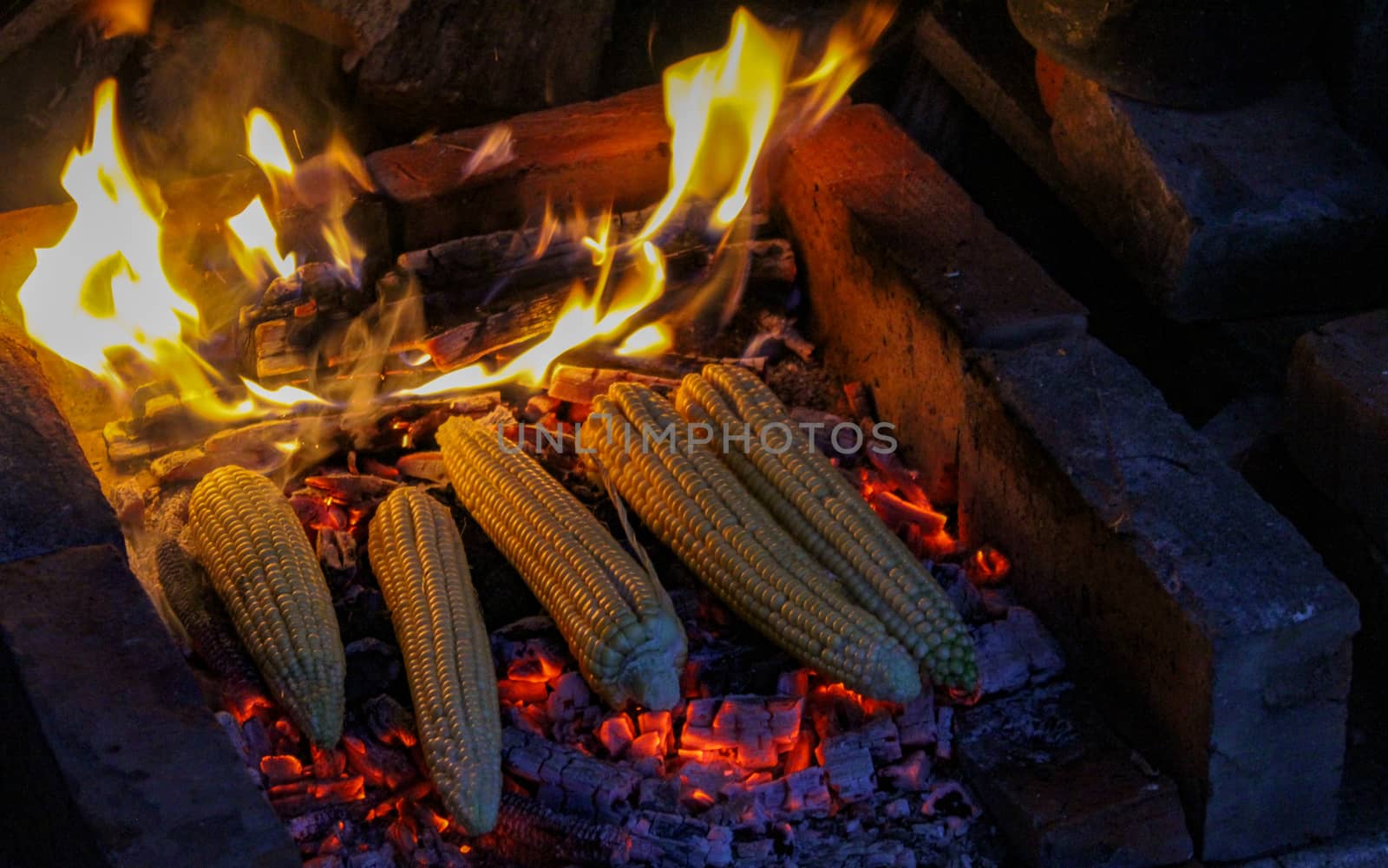 Corn on the cob. Freshly harvested corn on the cob is grilled with a little fire in the background. Traditional way of roasting corn in Bosnia. by mahirrov