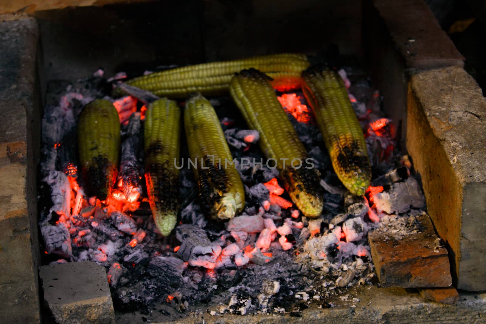 Burnt corn on the cob. Roasted corn on the cob. Summer nights by the fire. by mahirrov