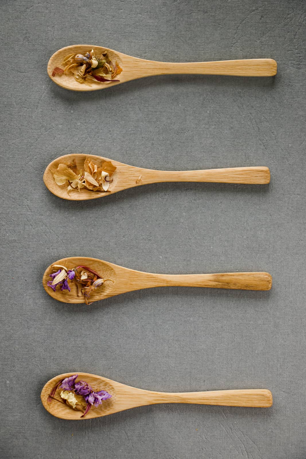 Herbal and natural dry tea set, variation and collection of tea and wooden spoons on the gray background