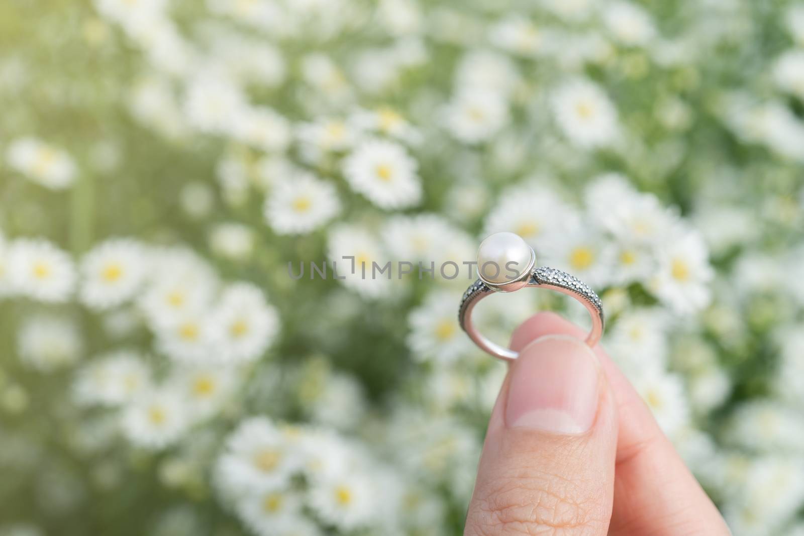 Close-up of silver and pearl
wedding rings over beautiful small white flowers garden.