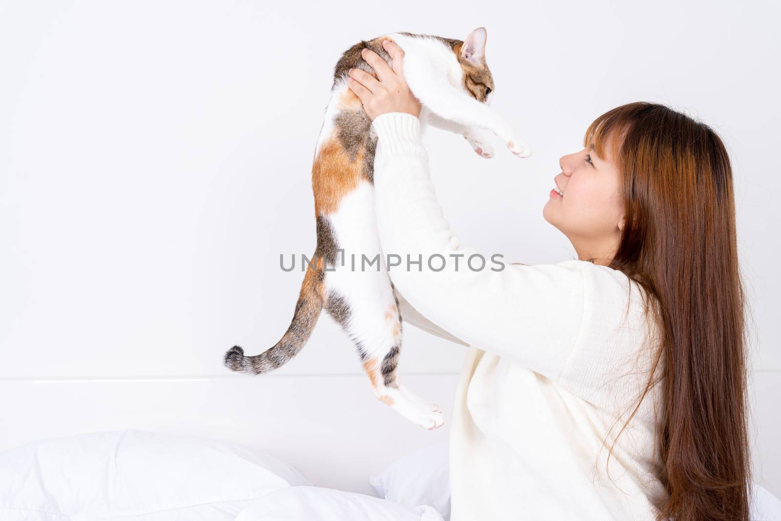 Woman at home holding her lovely fluffy cat. Multicolor tabby cute kitten. Pets and lifestyle concept. by mikesaran