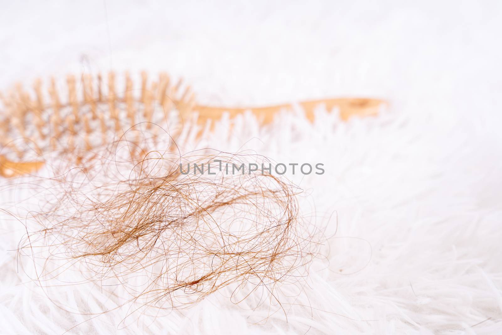 Hair fall problem, closeup comb and problem hair. Healthcare medical or daily life concept.