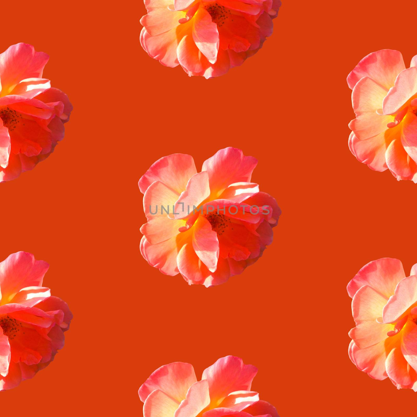 Seamless pattern with roses on a orange background. Pop art creative design for textile, fashion, wallpaper, fabric, wrapping paper.