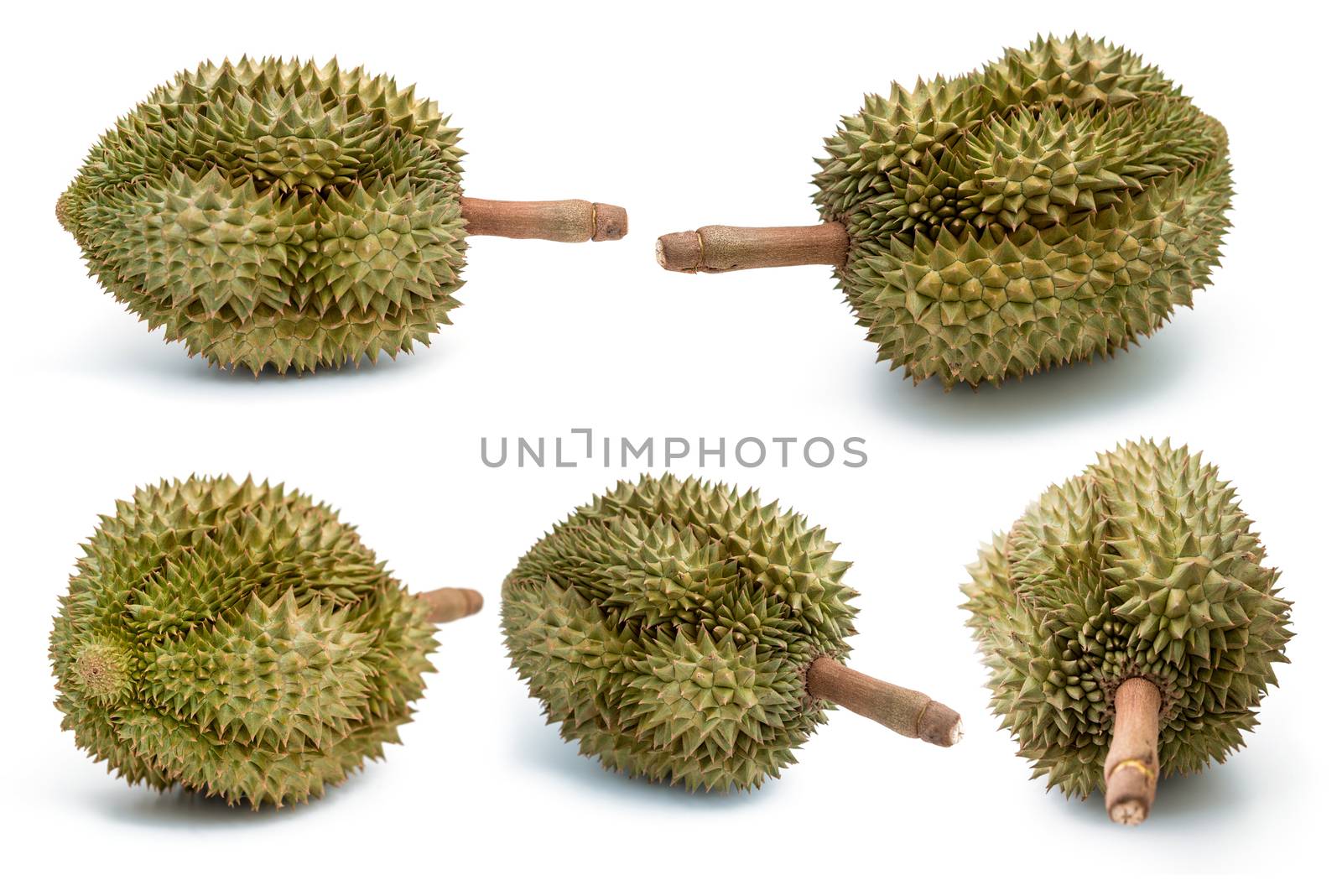 Fresh durian isolated on white background by antpkr