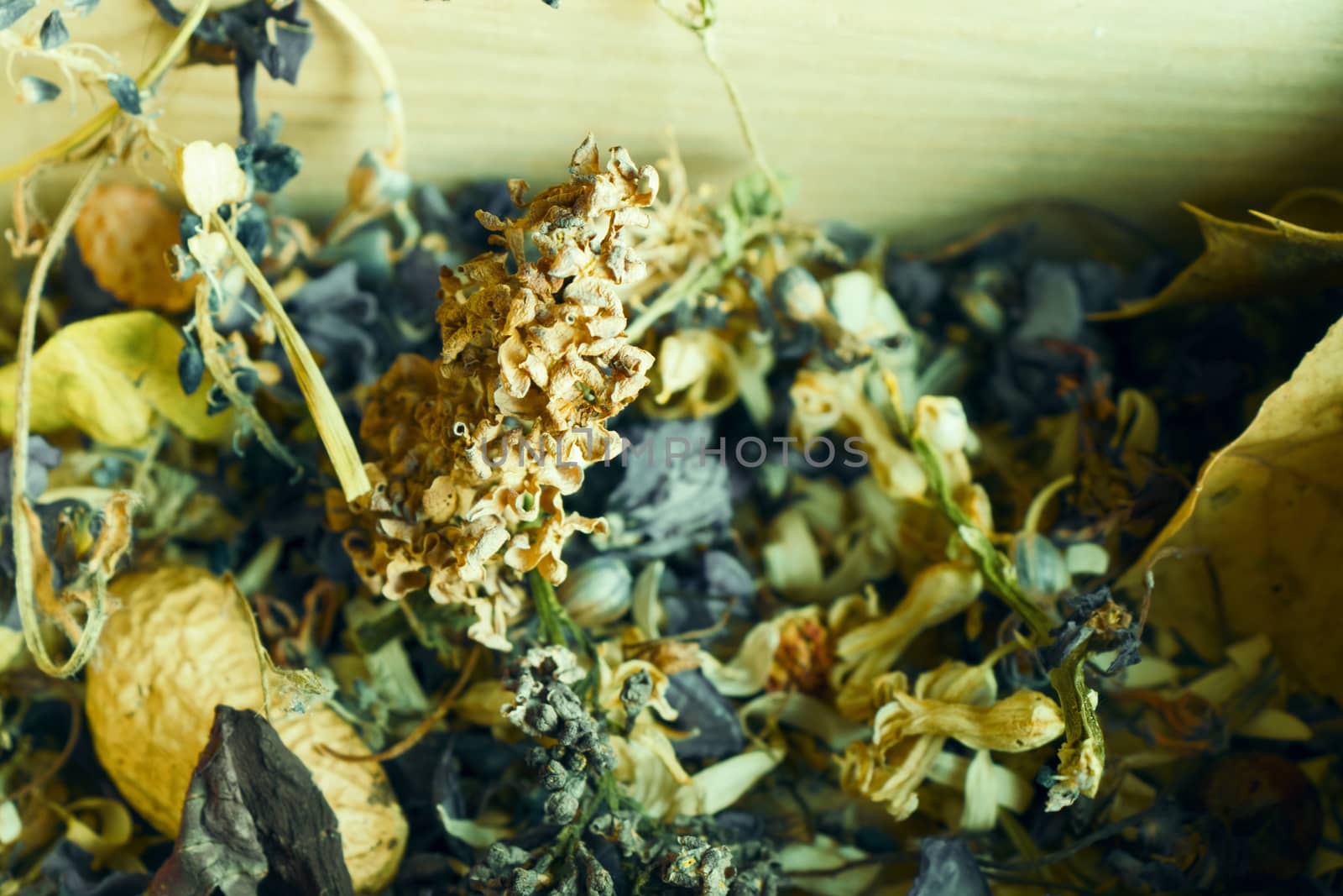 Dry flowers and plants, herbal tea by Taidundua