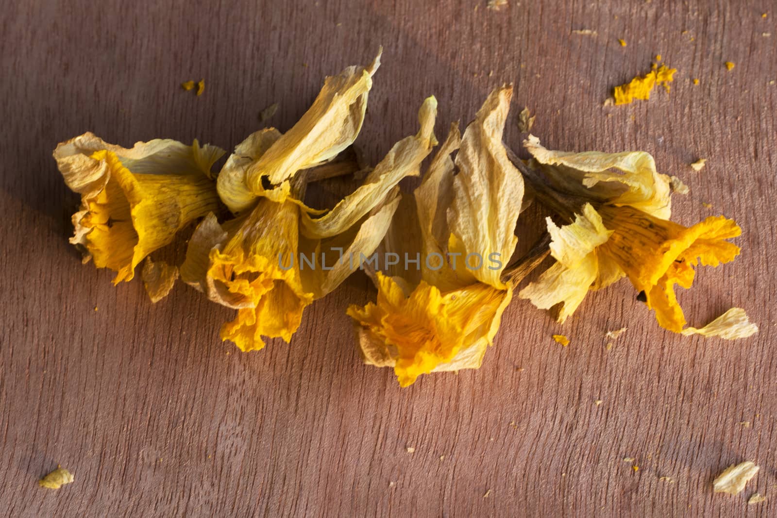 Dry flowers and plants, herbal tea by Taidundua