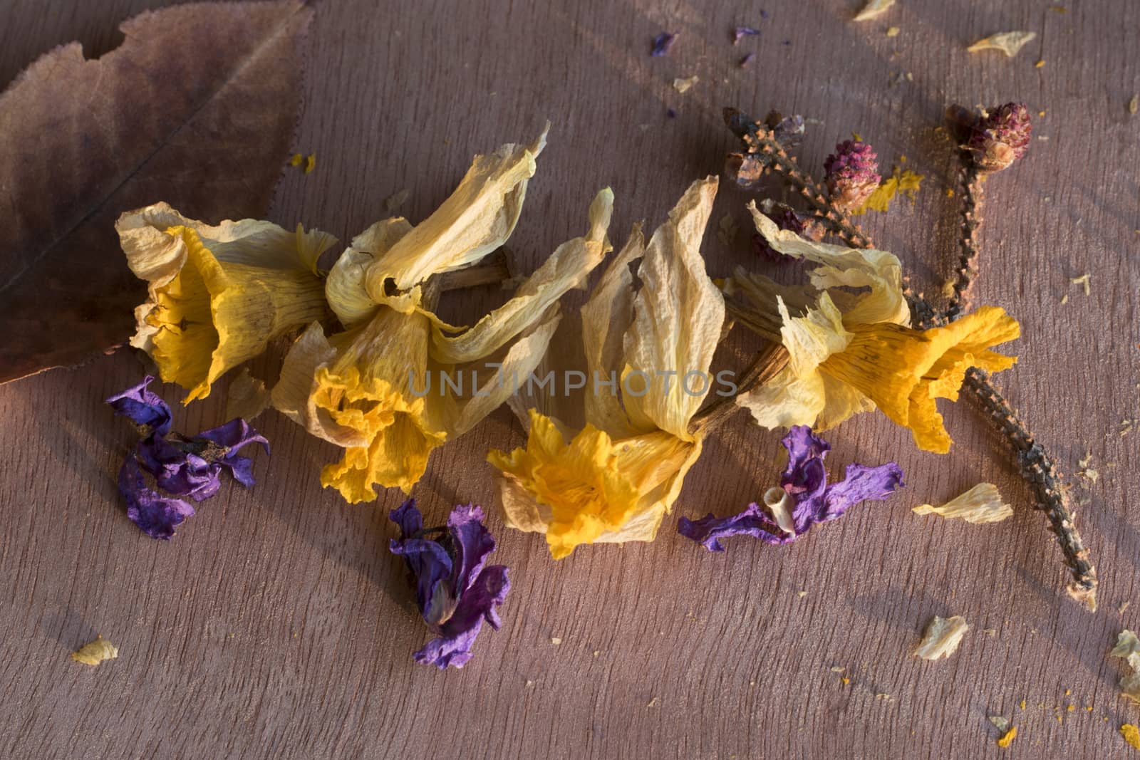 Dry flowers and plants, herbal tea by Taidundua