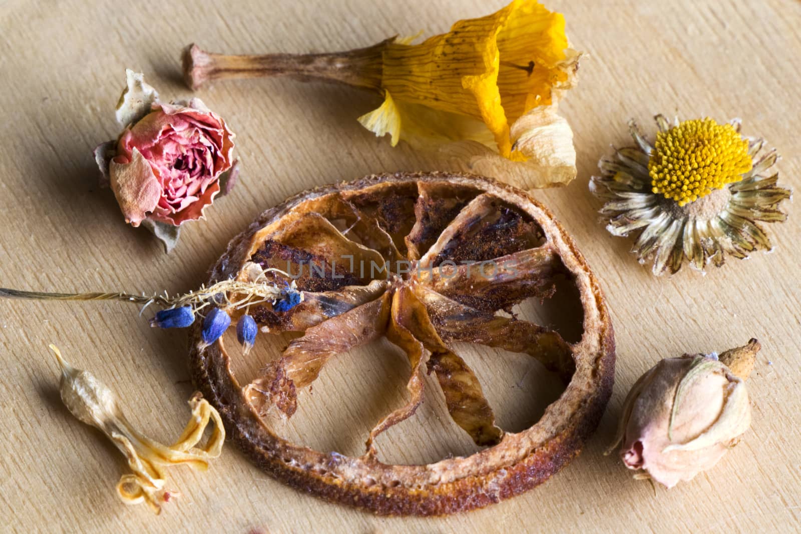 Dry flowers and plants, herbal tea by Taidundua