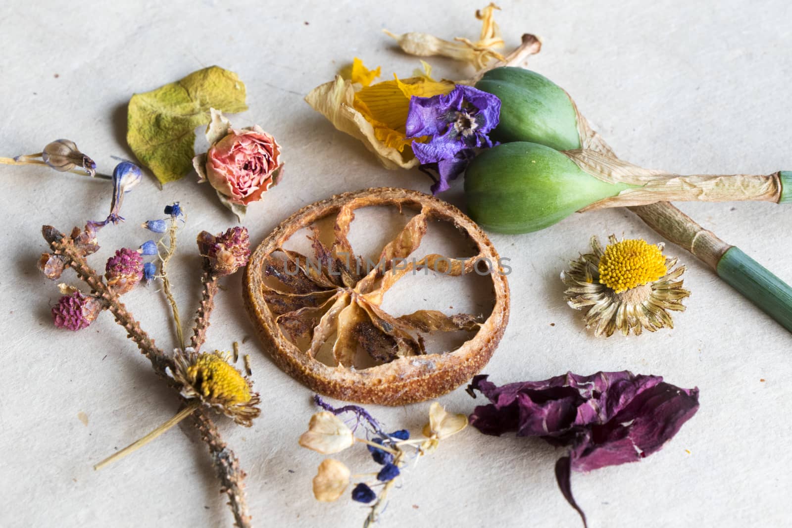 Dry flowers and plants, herbal tea by Taidundua