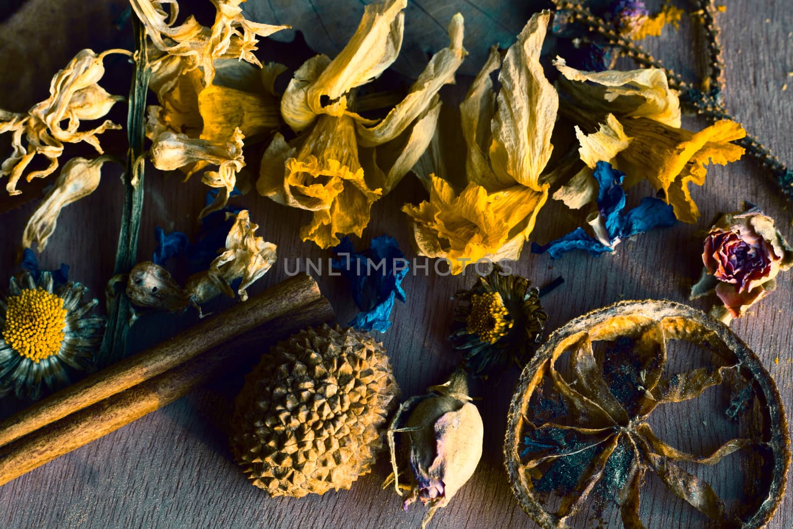 Dry flowers and plants, herbal tea by Taidundua