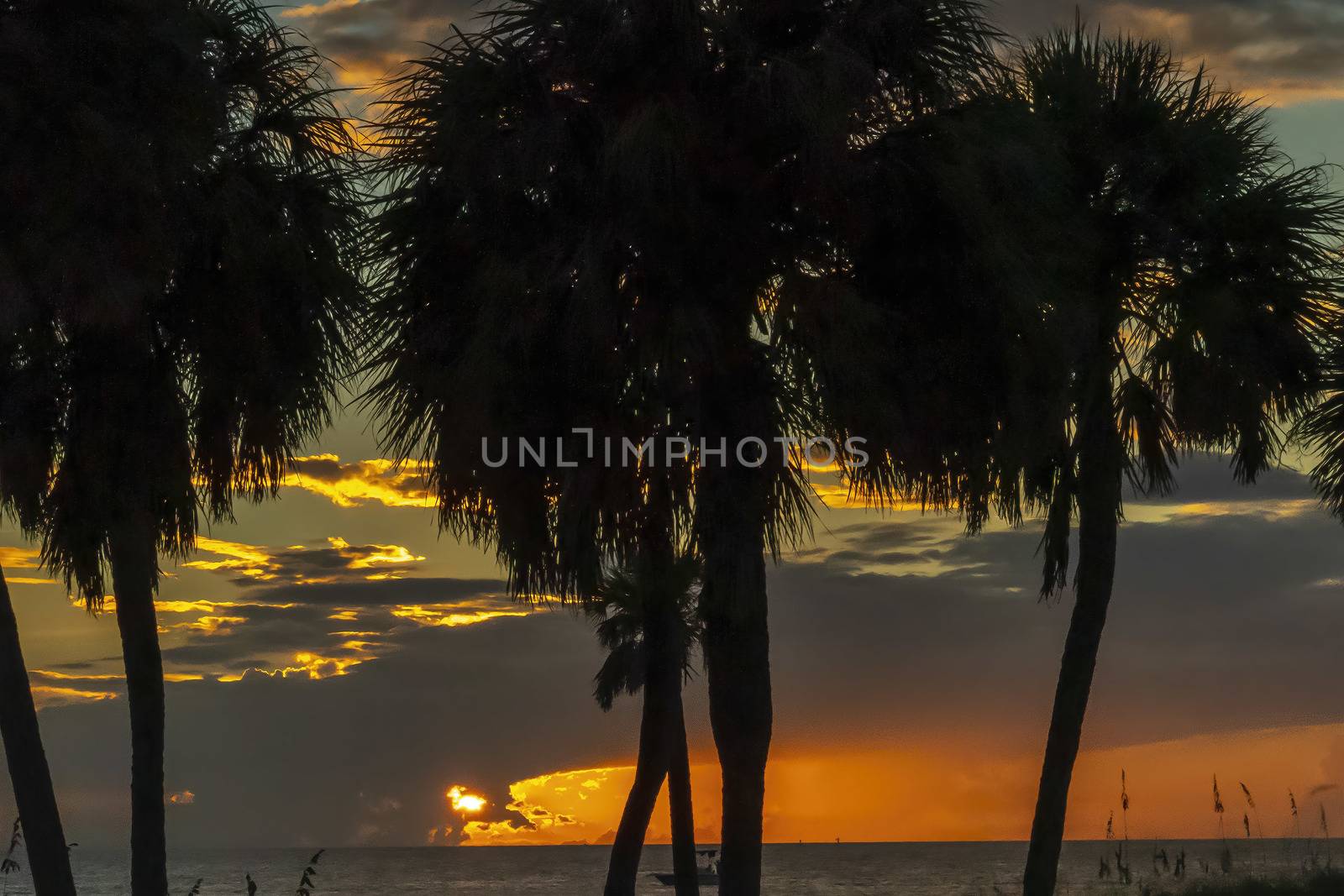 Scenic View Of The Coastline Of The State Of Florida At Sunset by actionsports