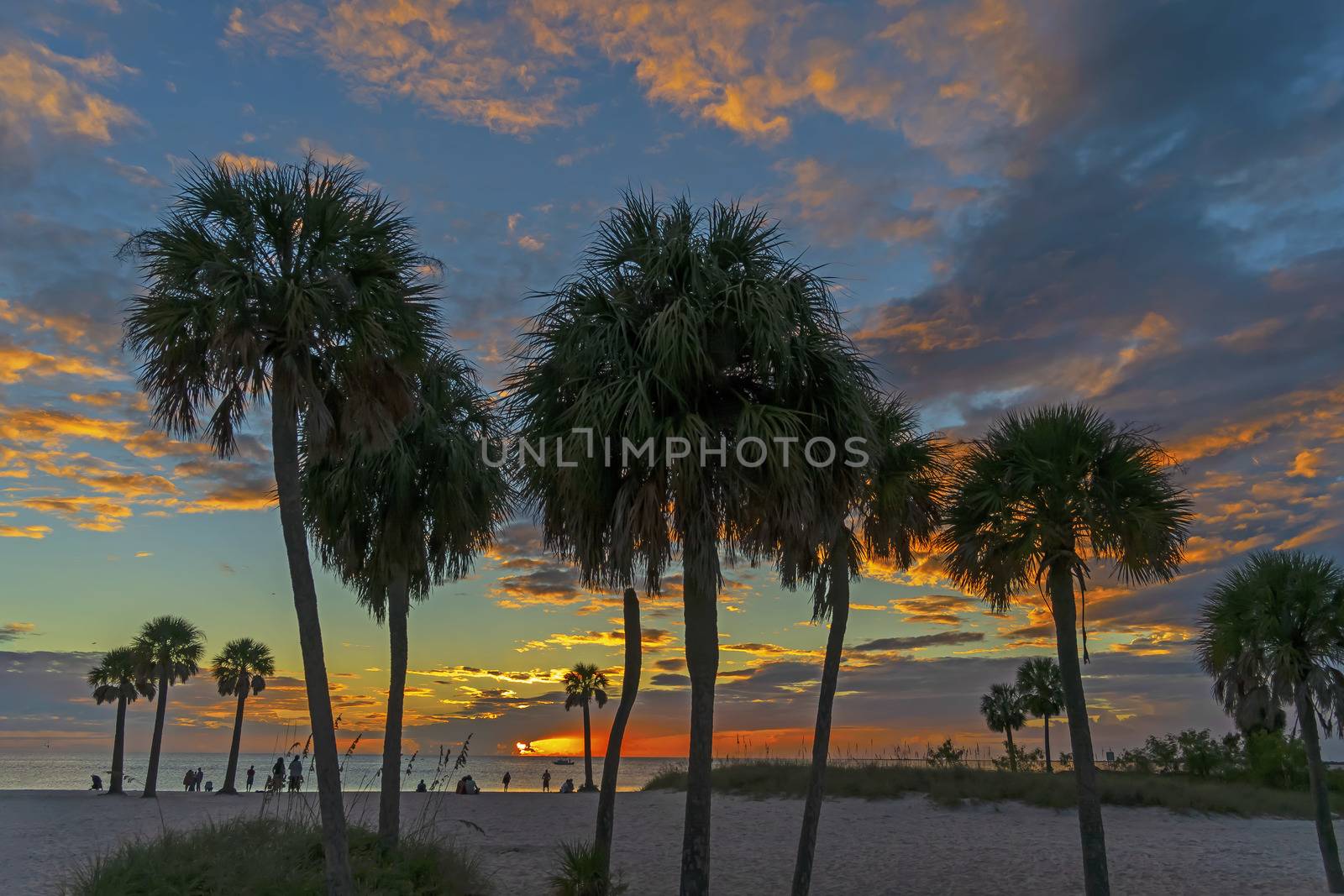 Scenic View Of The Coastline Of The State Of Florida At Sunset by actionsports