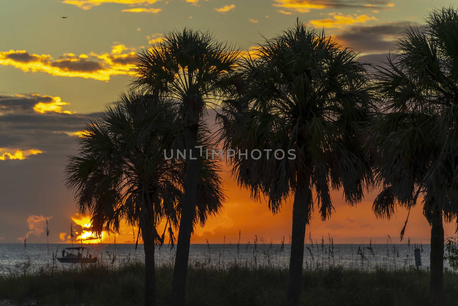 Scenic View Of The Coastline Of The State Of Florida At Sunset by actionsports