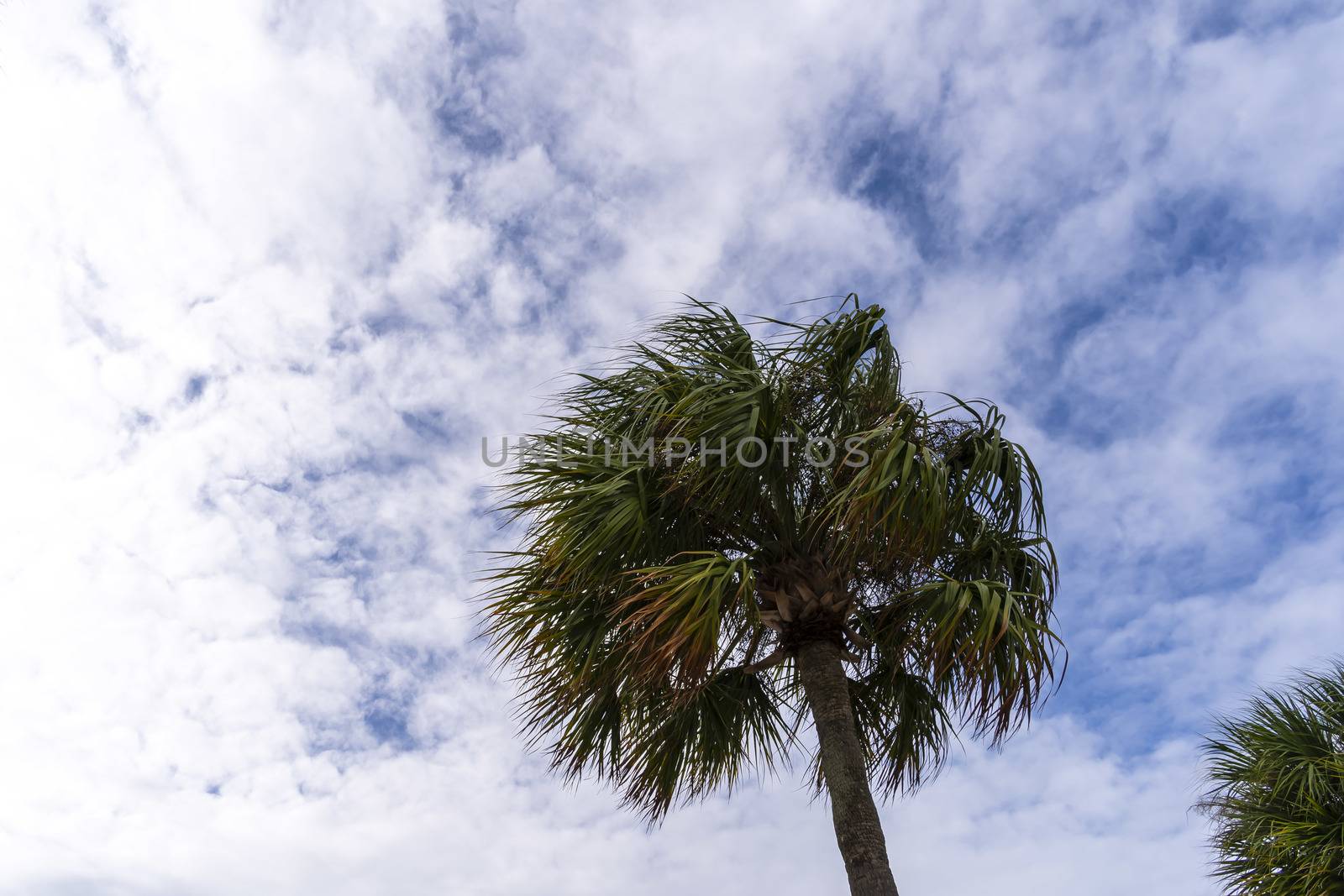 Scenic views of the coast of Florida