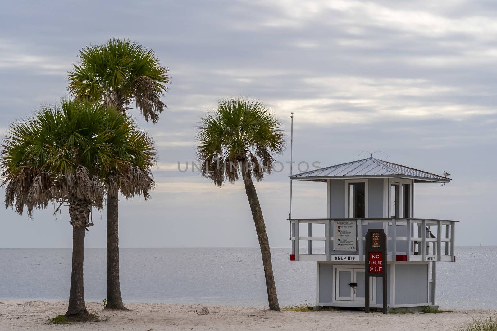 Scenic View Of The Coastline Of The State Of Florida by actionsports