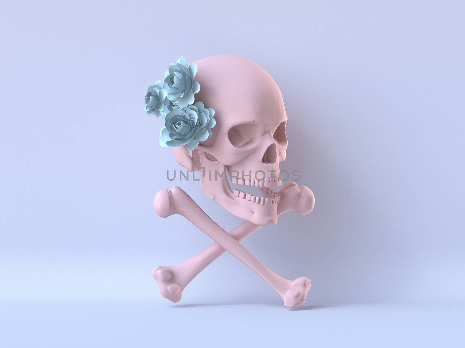Pink skull with flowers and bones 3D render illustration on blue background