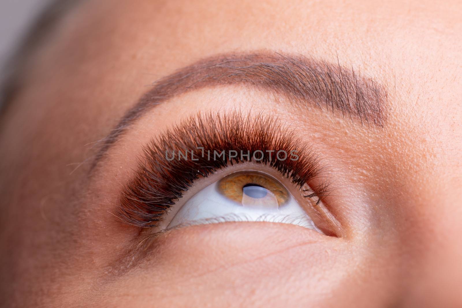 Open Woman Eyes with Long Eyelashes Extension after beauty treatment stock photo