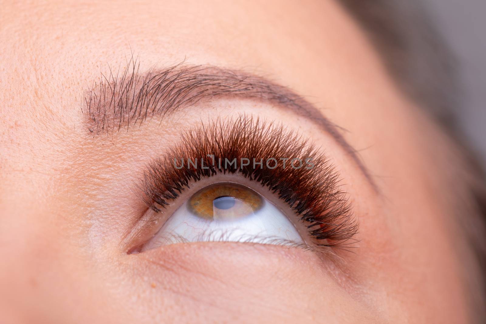 Open Woman Eyes with Long Eyelashes Extension after beauty treatment stock photo