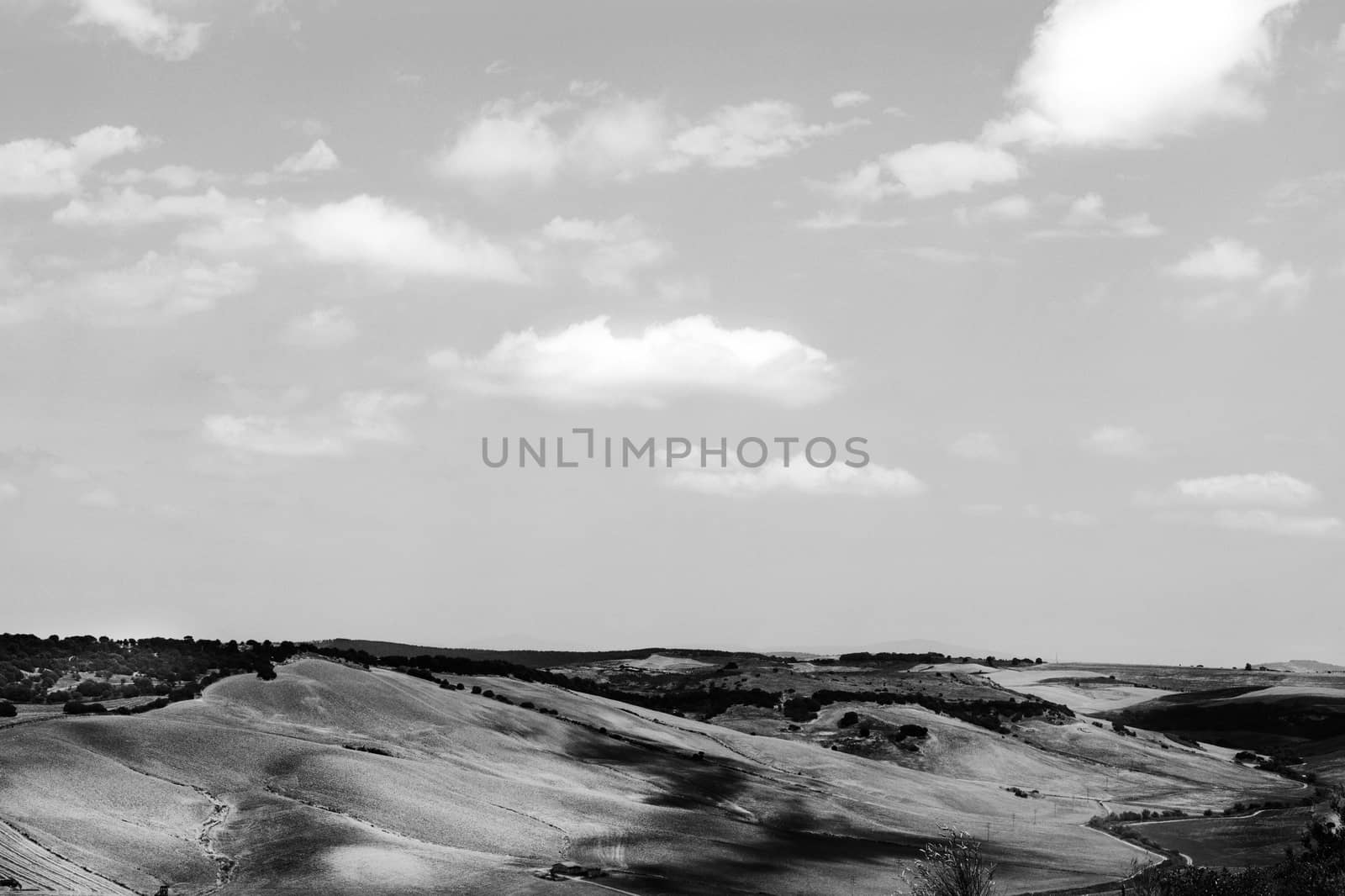 Landscape of cultivated fields  near Tarquinia -Italy - it’s a bright sunny day with cloudy sky