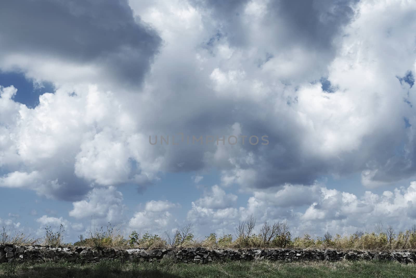 Italian rural landscape with low stone wall made of irregular broken stones , beautiful blue sky with clouds ,  green and dry grass in the foreground 