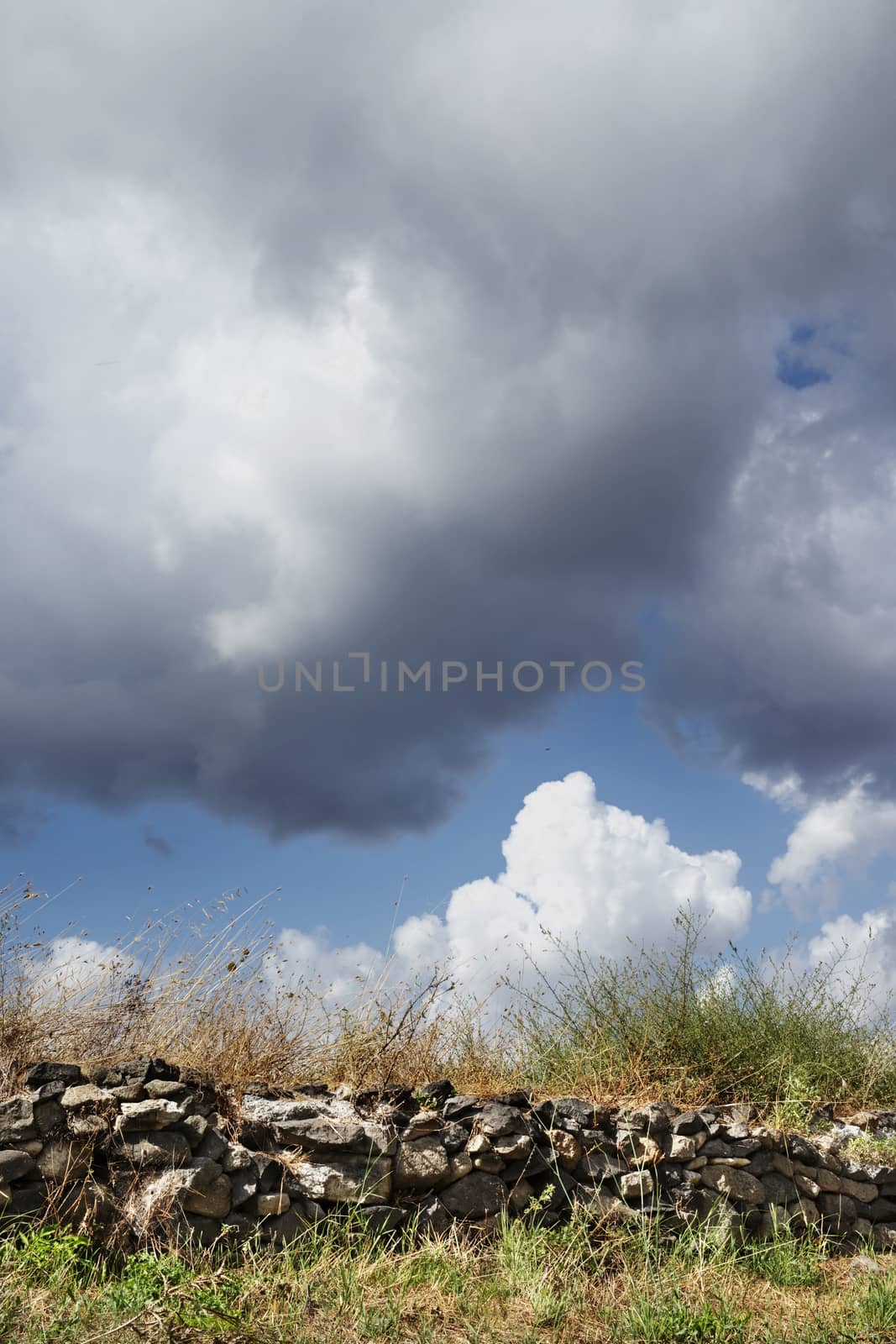 Italian rural landscape with low stone wall made of irregular broken stones , beautiful blue sky with clouds ,  green and dry grass in the foreground 