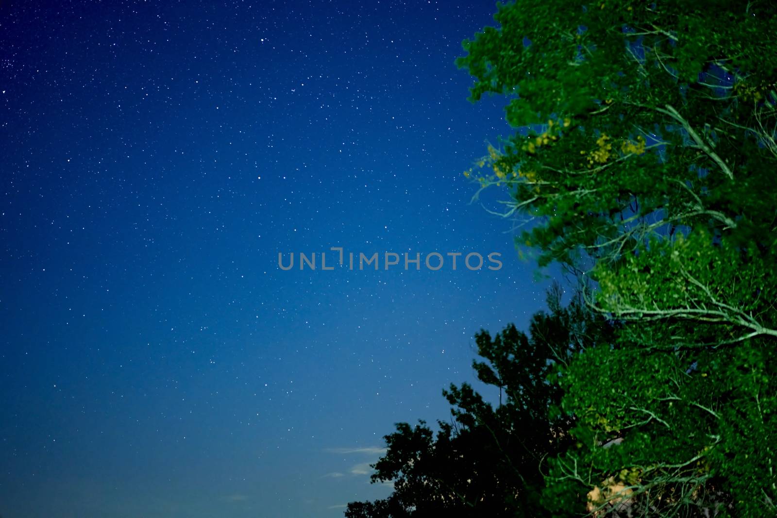 Milky way galaxy stars space dust in the universe, Long exposure photograph, with grain. Summer night sky Milkyway nightscape