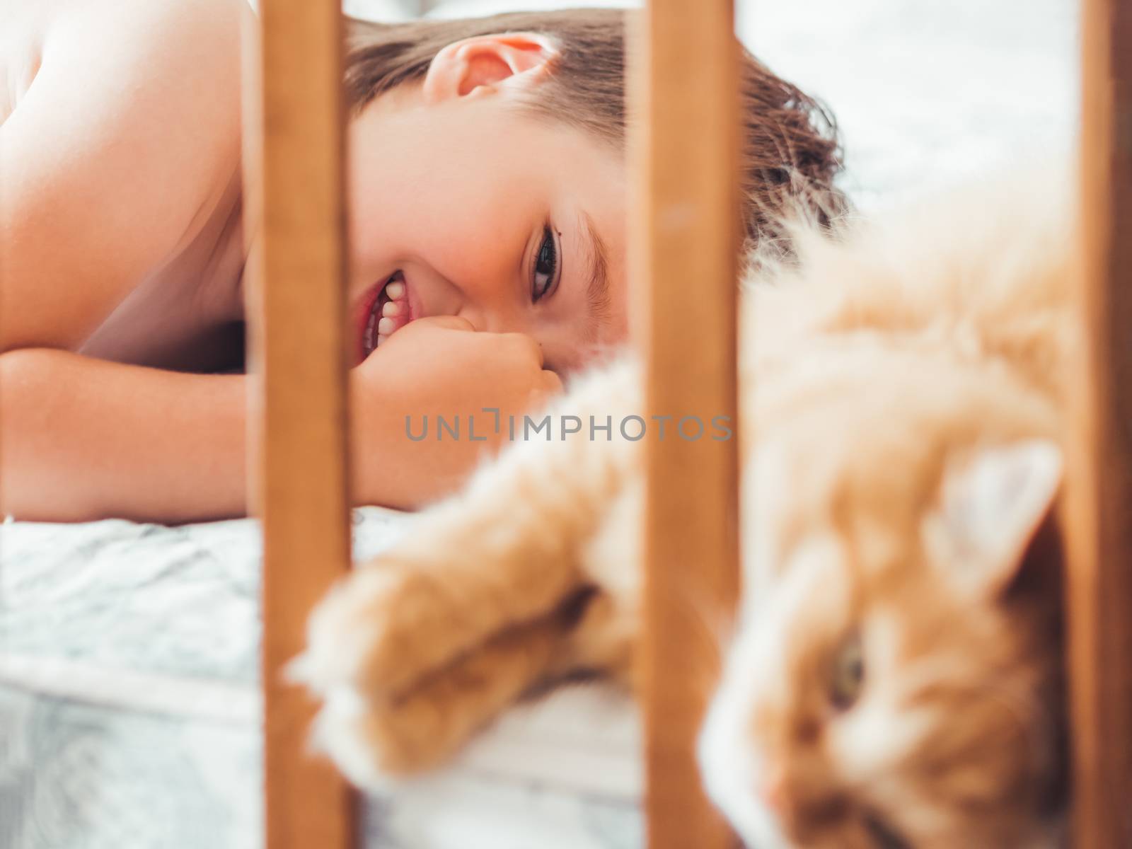 Toddler lies in bed with cute ginger cat. Little boy laughting. Child's friendship with domestic cat. Cozy home at morning.