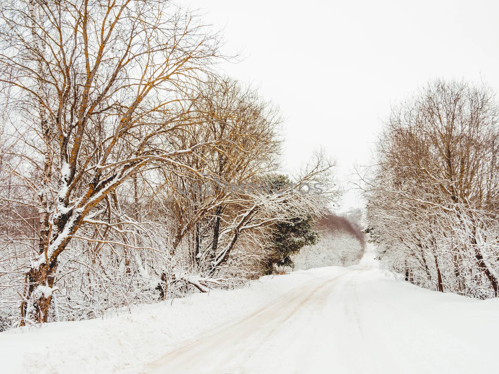 Winter natural background with trees and country road under the snow. Rural landscape. Countryside.