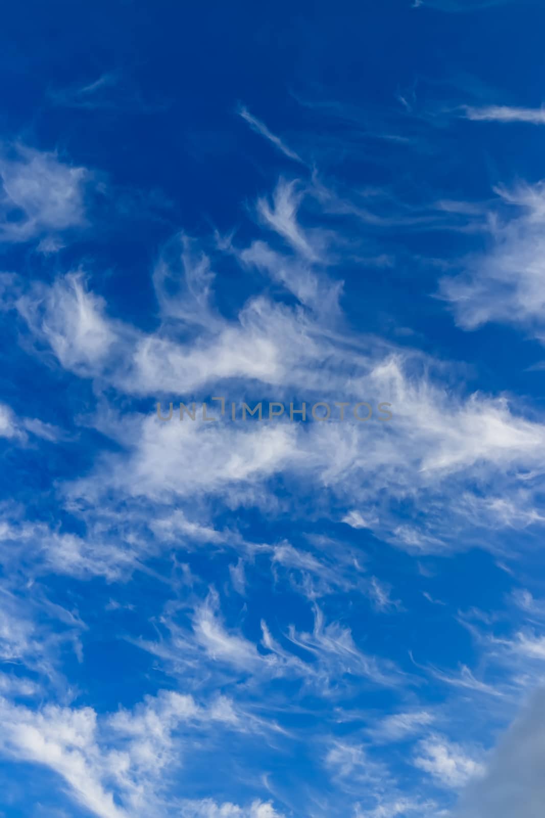 Bright blue sky with feather clouds lit by the daytime sun. Abstract background.