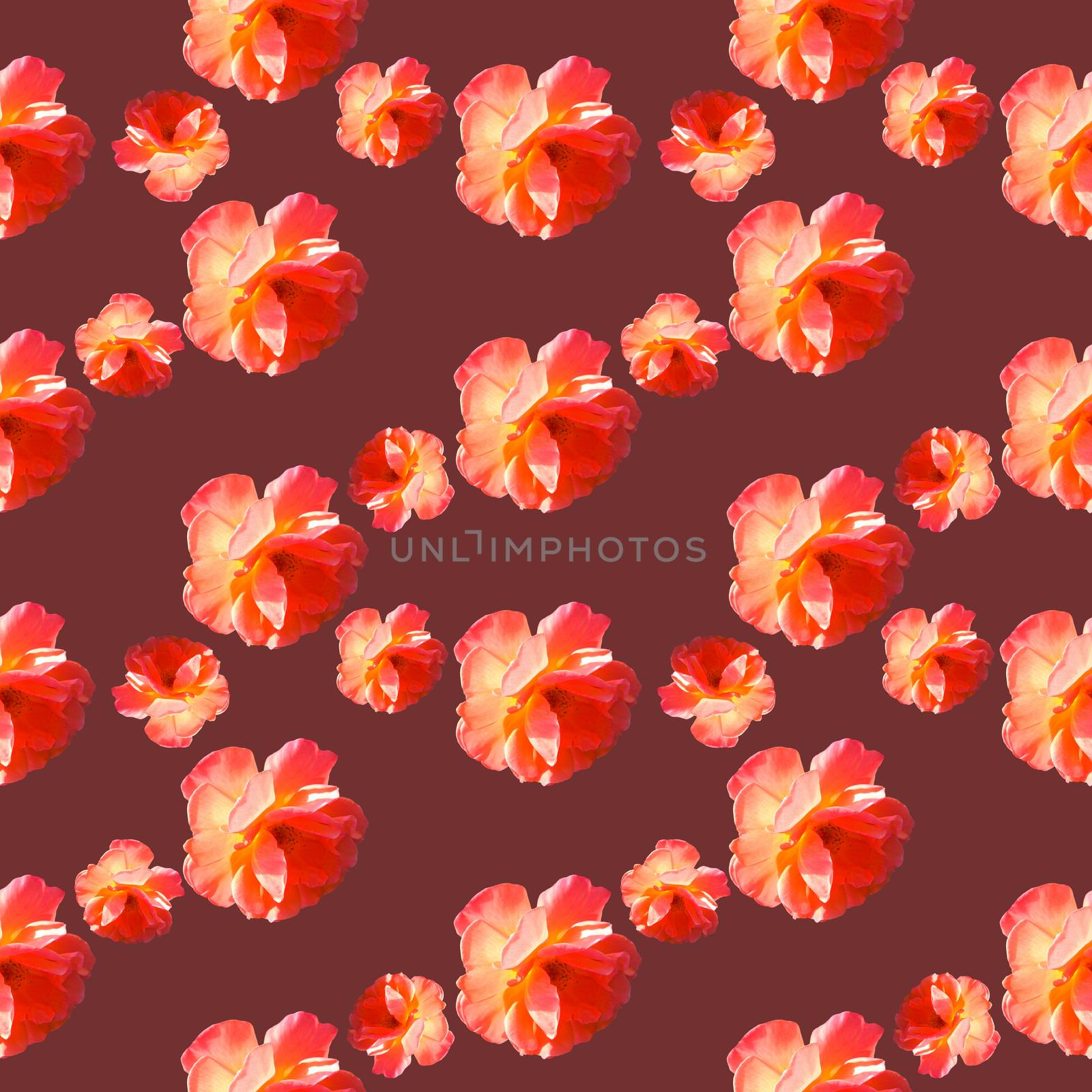 Seamless pattern with roses on a burgundy background. Flat lay, top view. Pop art creative design for textile, fashion, wallpaper, fabric, wrapping paper.