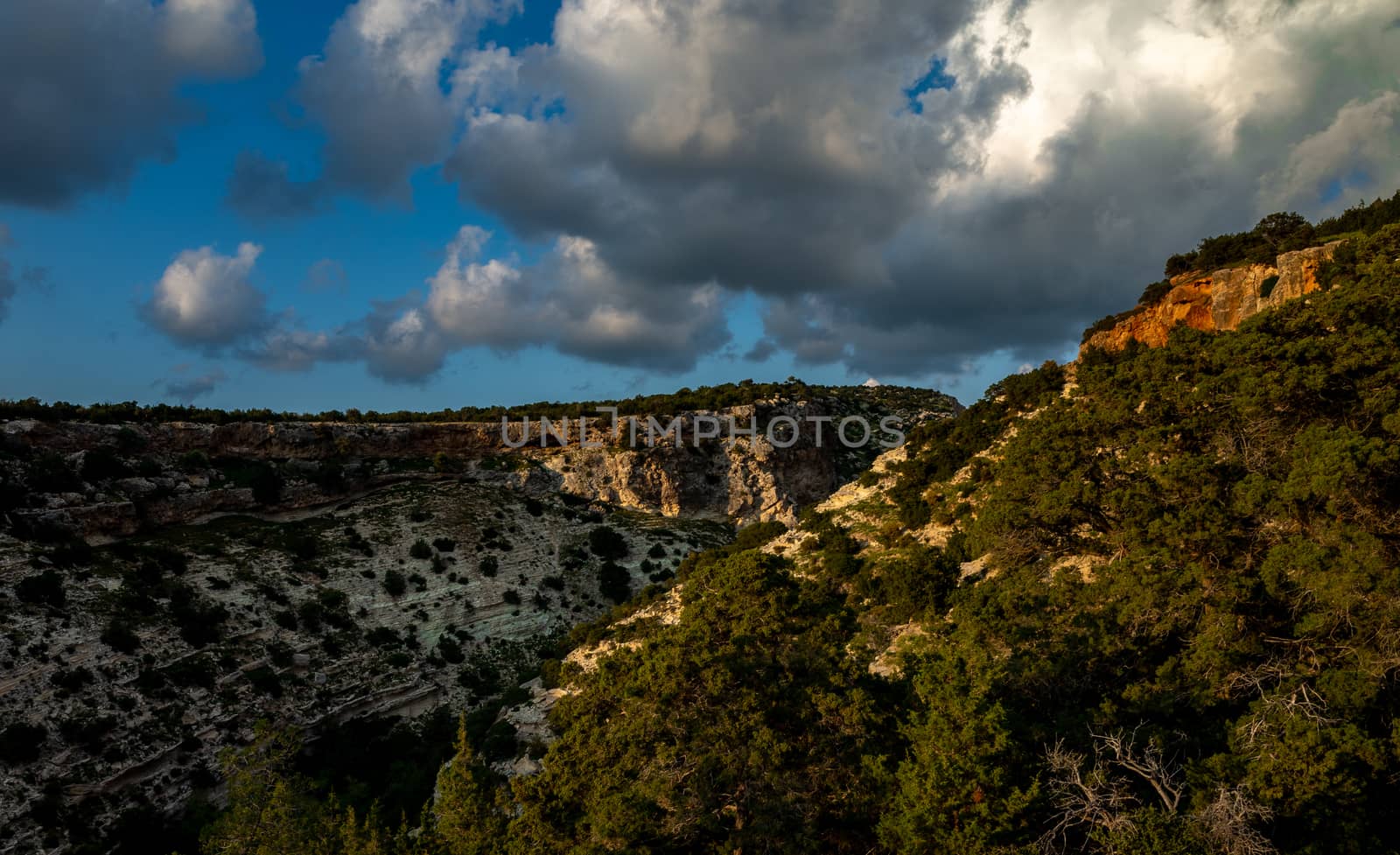 Cedar-covered hills on the Mediterranean coast on the island of Cyprus.