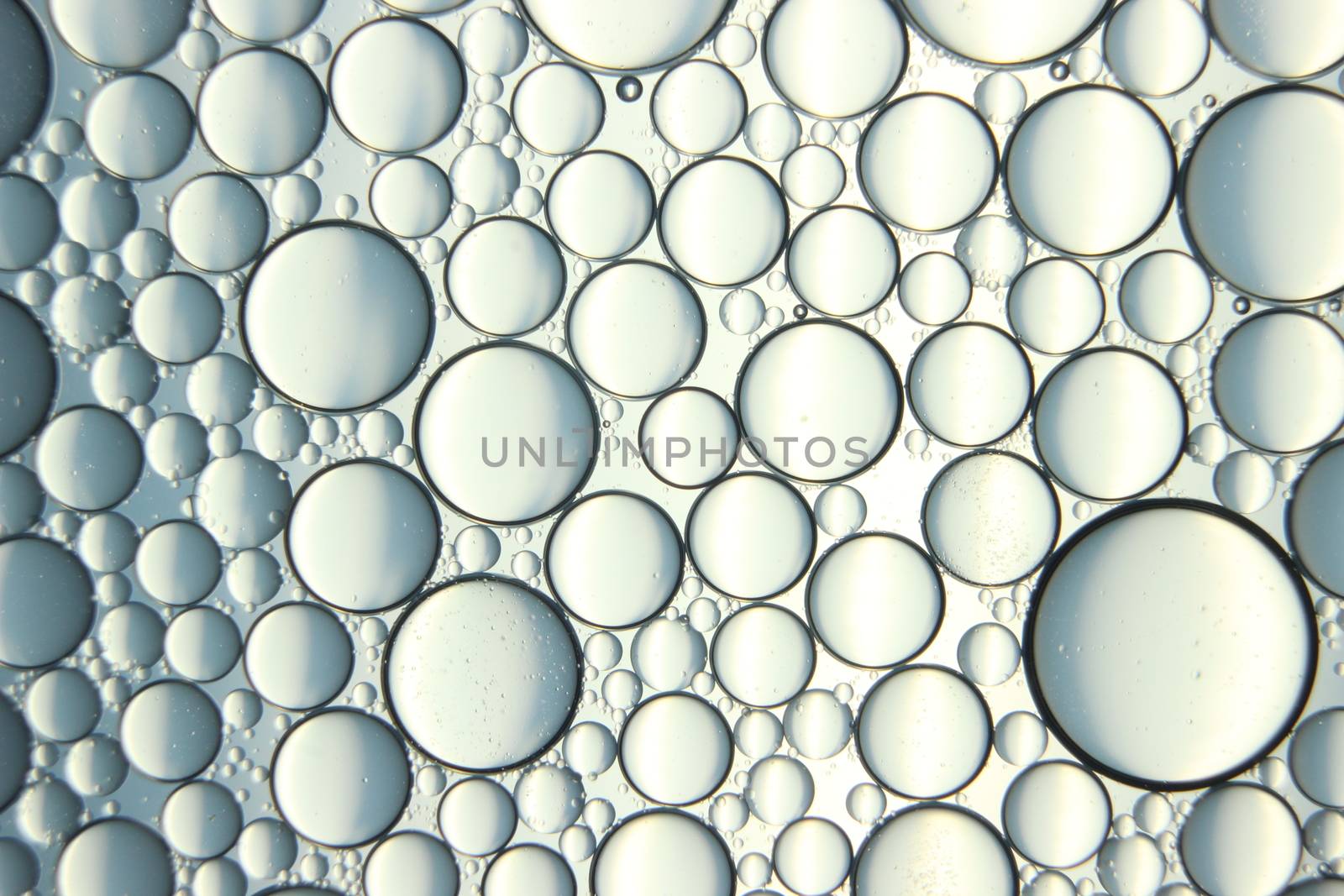 abstract macro background of oil circles floating over water surface . by Photochowk