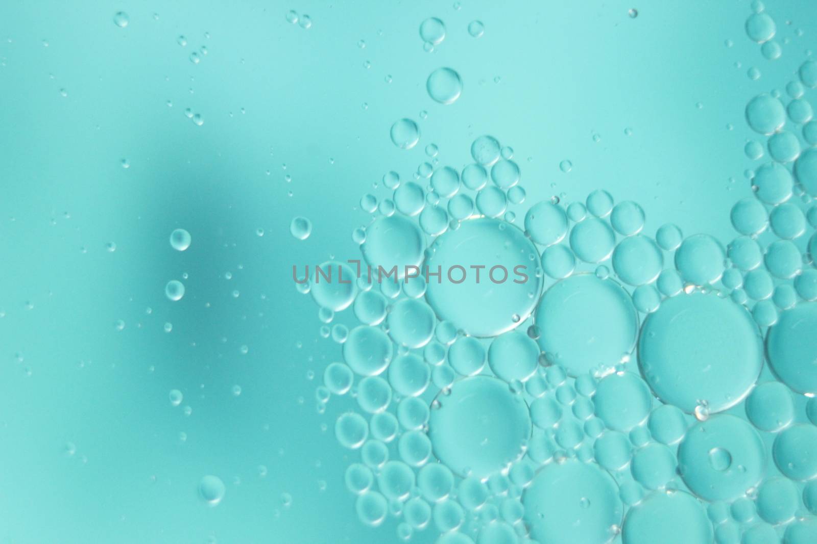 abstract macro background of oil circles floating over water surface . Macro closeup view of bubbles on water . oil bubbles in the water macro photographic background