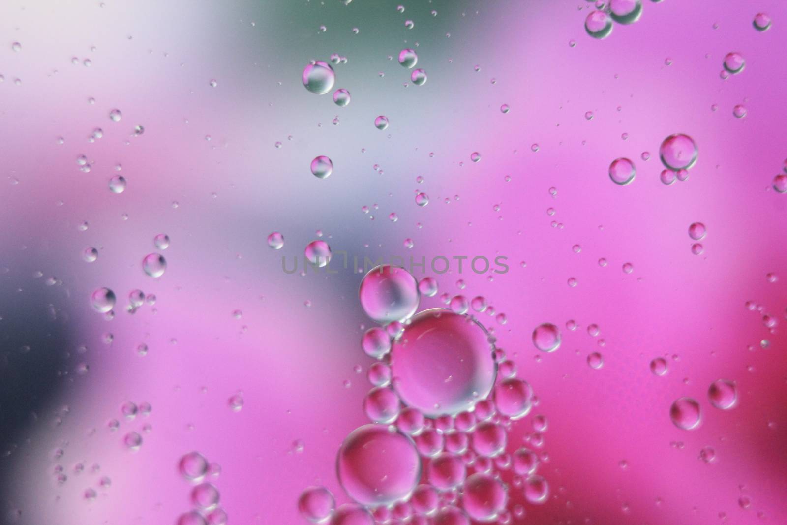 abstract macro background of oil circles floating over water surface . by Photochowk