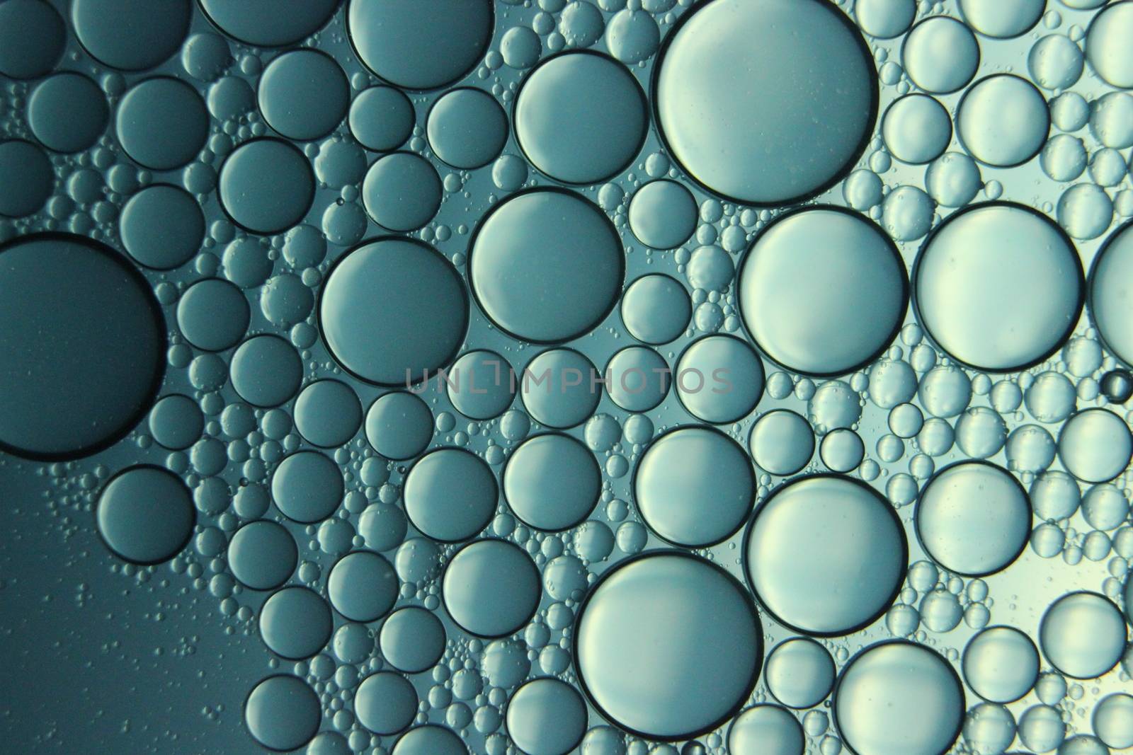 abstract macro background of oil circles floating over water surface . by Photochowk