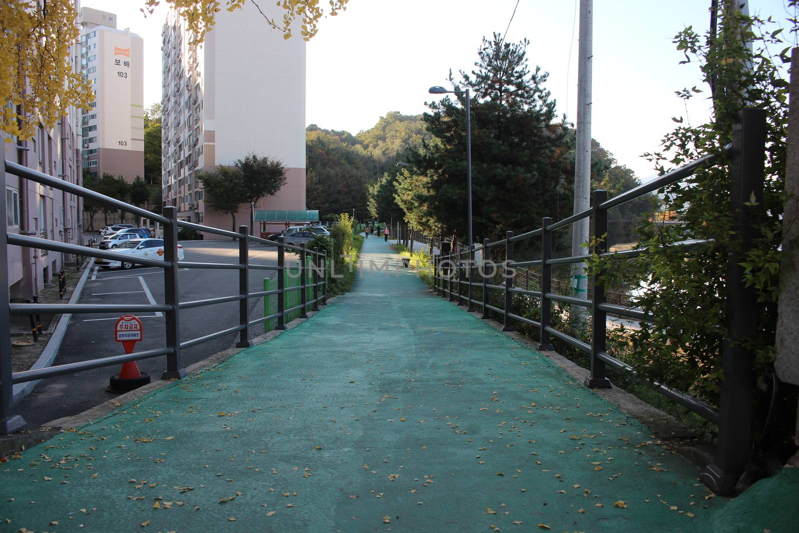 Paved pedestrian way or walk way with trees on sides for public walk. Suburban park with sidewalk along with trees on sideways