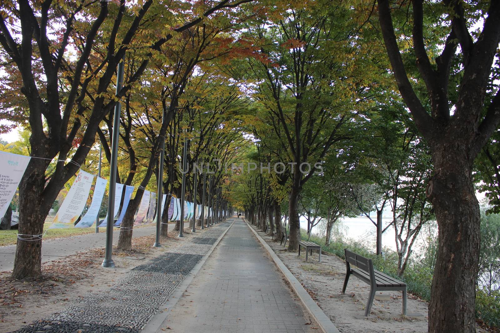 Paved pedestrian way or walk way with trees on sides for public walk by Photochowk