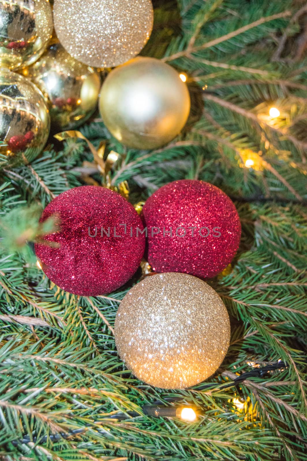 Cute Christmas sparkling red and gold glass balls on natural fir branches background, authentic Christmas background with fir branches and decorations, vertical frame.