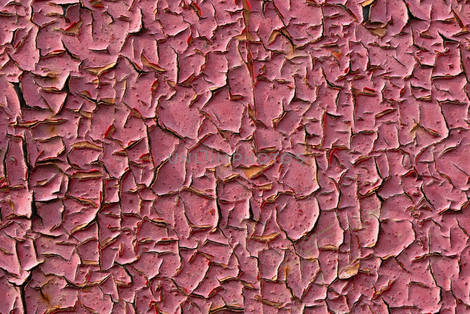 old pink peeling paint closeup flat background under direct sunlight