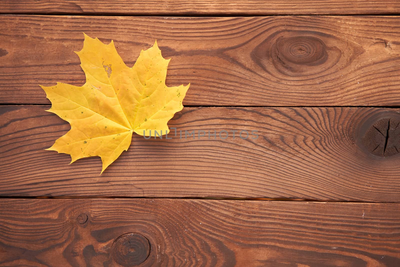 One orange maple autumn leaf lies on vintage wooden background top view Seasonal concept. Fall is coming