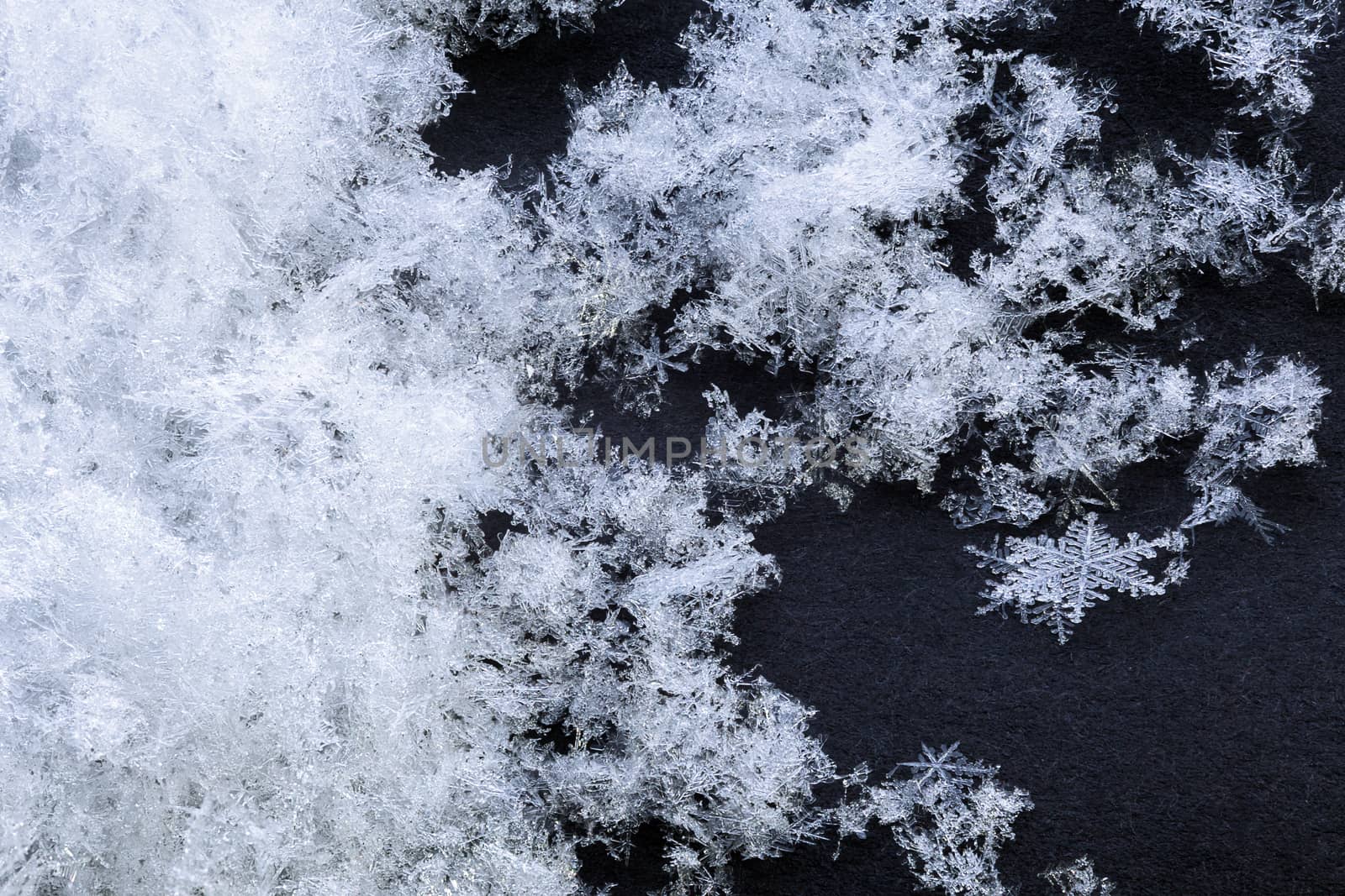 snow array with high magnification winter background.
