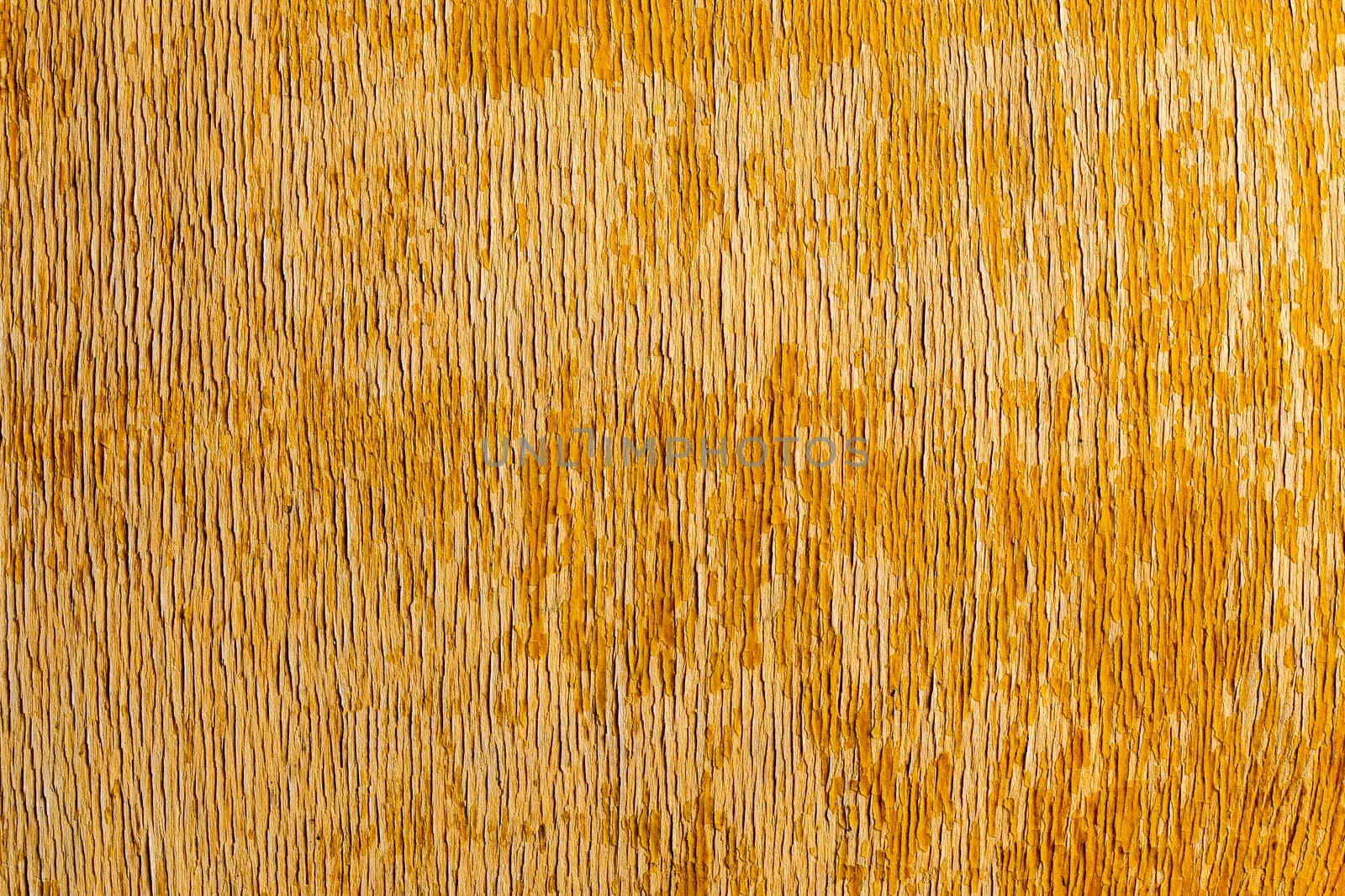 old peeling flat overdryed lacquered plywood texture with vertical structure of peels