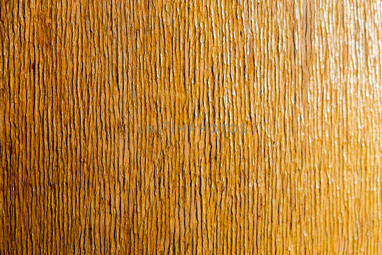 old peeling flat overdryed lacquered plywood texture with vertical structure of peels with selective focus