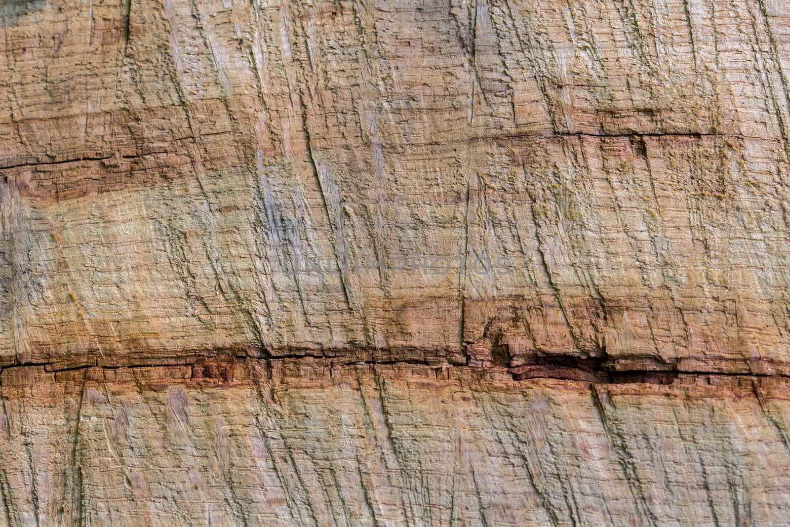 old nature wooden texture closeup background with horisontal structural lines
