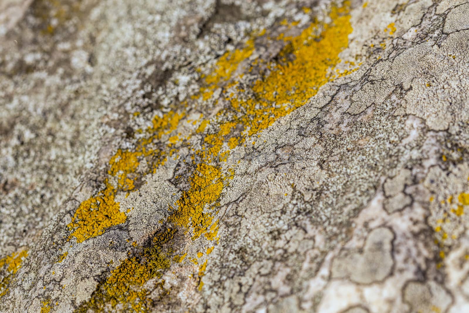 gray molded flat closeup stone background under direct sunlight with selective focus