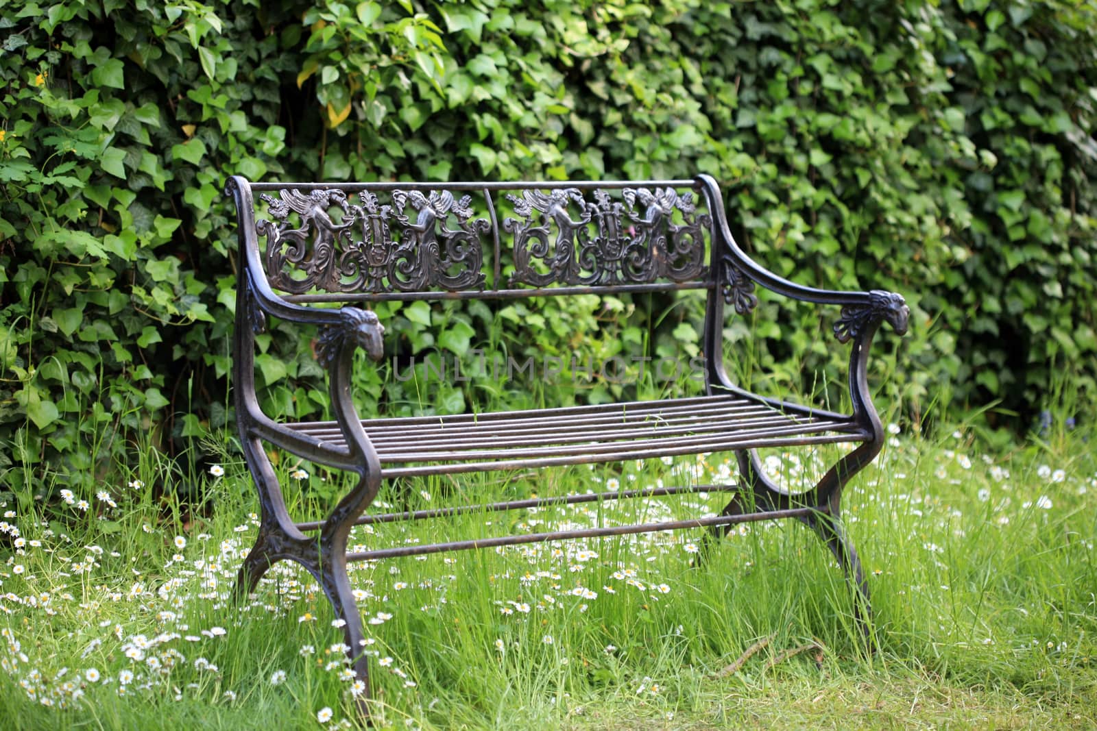Old iron park bench in the grass